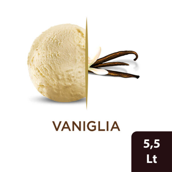 Mantecato Carte D'Or vaniglia