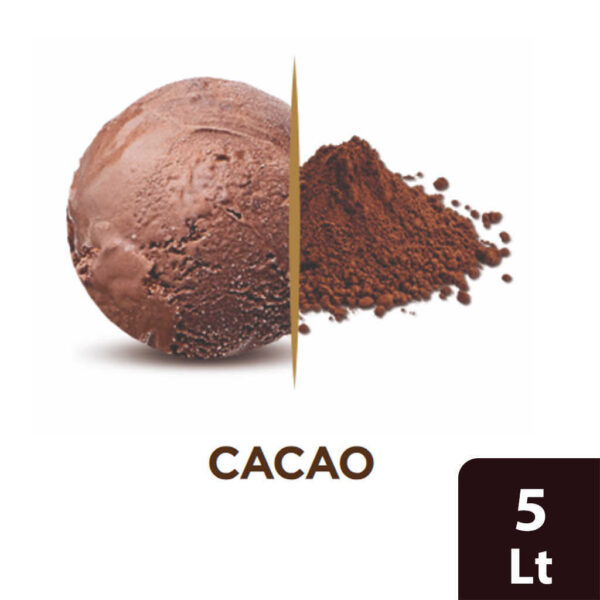 Mantecato Carte d'Or cacao - Linea ristorazione