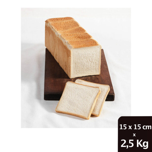 CARRE' TOAST MAXI 15X15