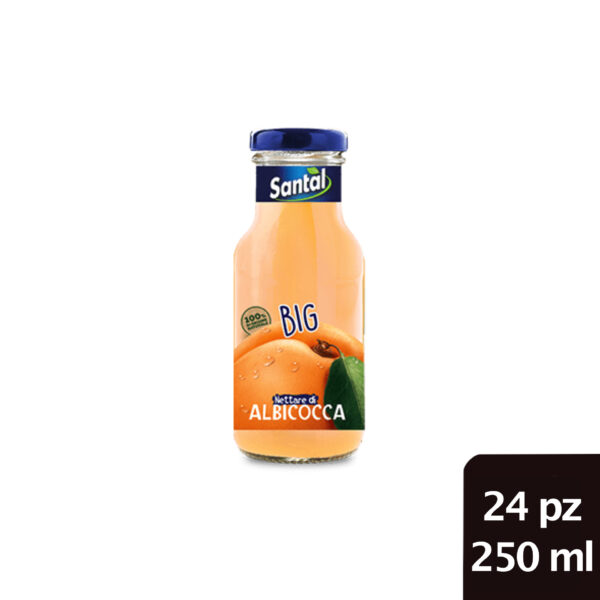 SUCCO ALBICOCCA
