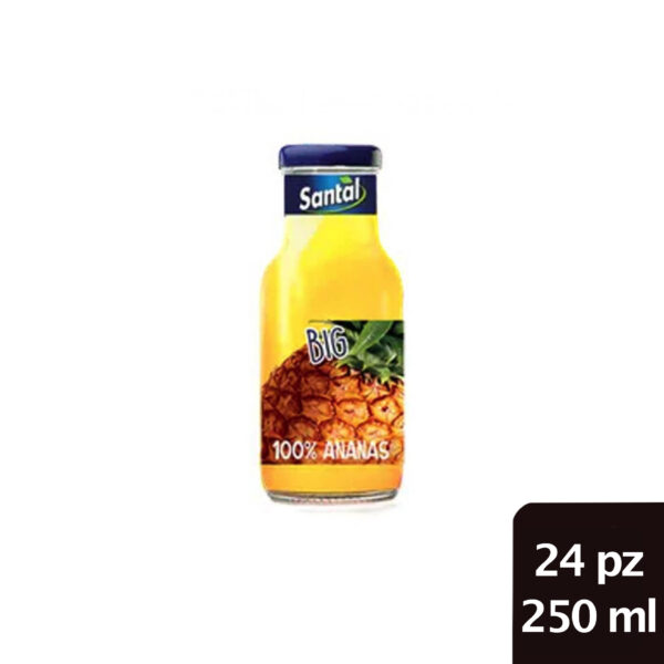 SUCCO ANANAS