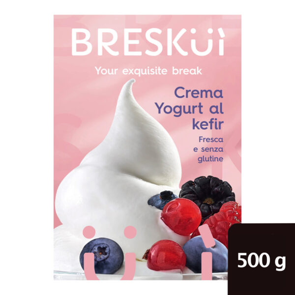 CREMA YOGURT KEFIR GR.500
